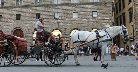 Florence, Italy - August 31, 2019: Beautiful Horse Carriage On Piazza Della Signoria In Florence, Italy, Tuscany Region, Europe. Close Up View - DCi 4K Video