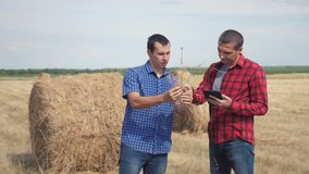 teamwork agriculture smart farming concept. two men farmers workers studying a haystack in field on digital tablet. teamwork slow motion video. people agronomist botanist farmers working in lifestyle