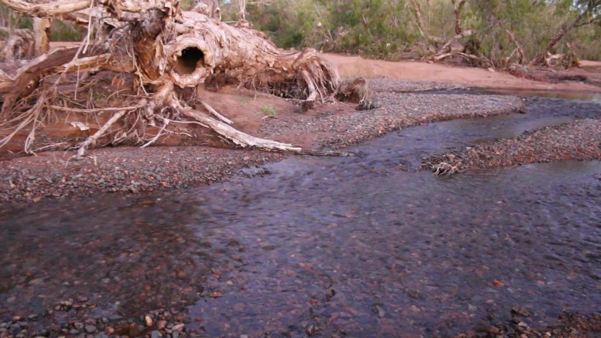 Late afternoon, Yule River WA