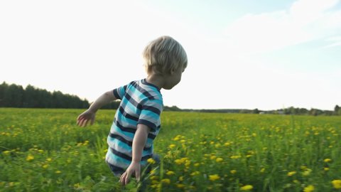 Cute toddler boy playing on blooming field with yellow flowers. Summer vacation on nature.