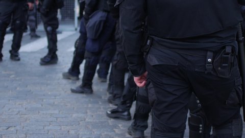 Special police units for protection at demonstrations and rallies