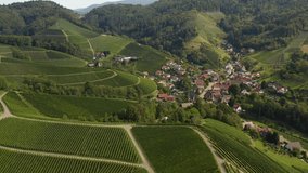 Aerial view around the village Ringelbach in Germany in the black forest on a sunny day in summer. Pan to the left beside the village and vineyards.