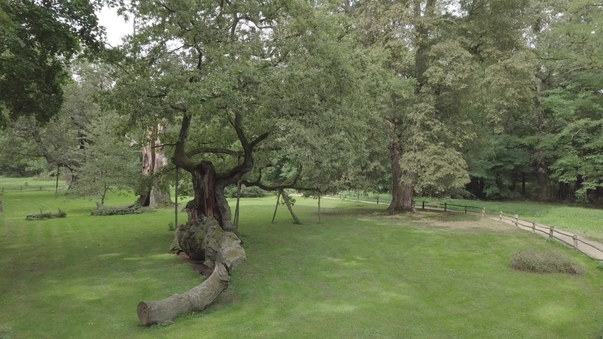 Lech Oak Park Zoom Poland
