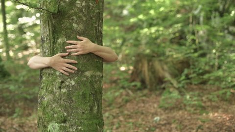 Tree hugger concept, woman hiker hugging wood in forest, female environmentalist is protecting nature, handheld footage