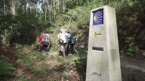 Camino de Santiago sign and a group of pilgrims walking on a forest footpath. Yellow scallop sign pilgrimage to Santiago de Compostela