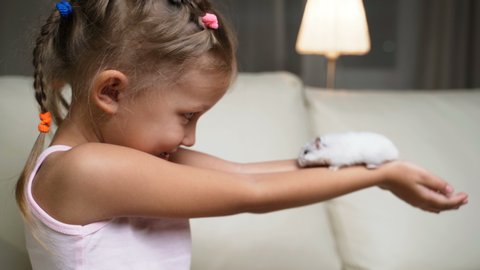Little Girl Child Home On Sofa Playing With Pet Hamster
