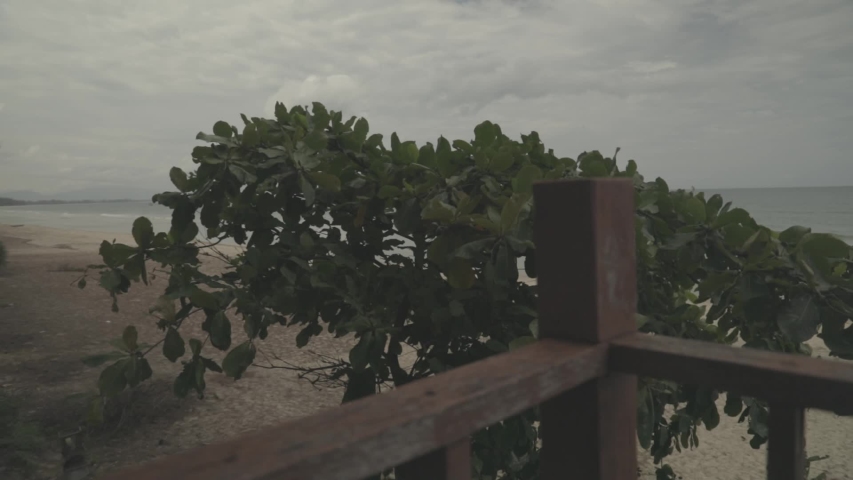 Lookin at the plans and the clouds on the beach in Thailand.
