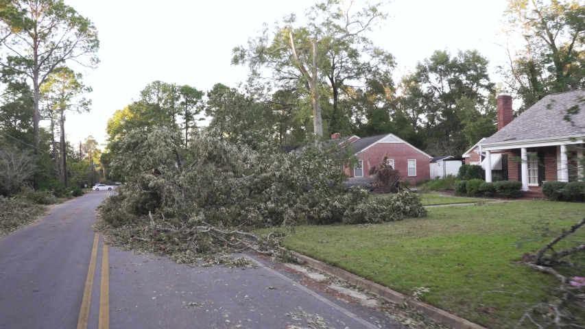 Nature damage disaster after the windy hurricane. Many broken wood trees lying on the street.