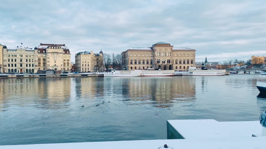 Old European style buildings reflecting in the calm waters of the harbor, some ducks in the water and a flock of seagulls flying over