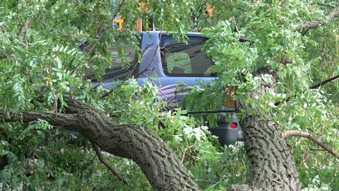 Kiev, Ukraine - 8th of August 2019: 4K Zoom out a car stuck under a fallen tree
