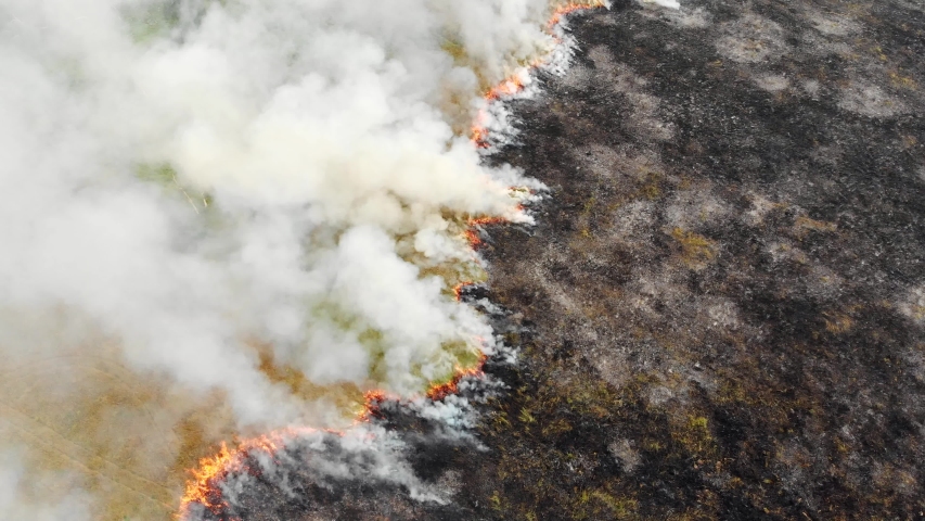 Epic aerial view of smoking wild fire. Large smoke clouds and fire spread. Forest and tropical jungle deforestation. Amazon and siberian wildfires. Dry grass burning. Climate change, ecology, earth | Shutterstock HD Video #1037336813