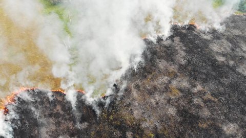 Epic aerial view of smoking wild fire. Large smoke clouds and fire spread. Forest and tropical jungle deforestation. Amazon and siberian wildfires. Dry grass burning in the field, ecology concept. 