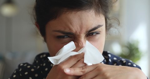 Ill allergic upset young indian woman holding tissue blowing running nose in handkerchief got flu fever caught cold influenza symptom at home office, allergy hay fever concept, face close up view