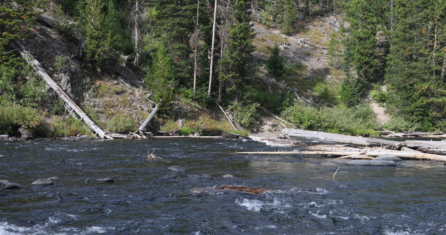 Yellowstone National Park mountain valley river. Geothermal ecosystem environment. Biology geography and ecology. Millions of tourist and visitors.