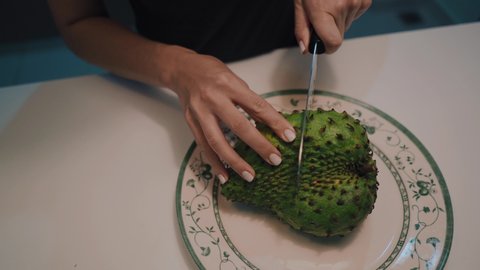 Young woman cuts Soursop or Guanabana and shows up on camera. Tropical fruit cutting.
