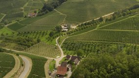 Aerial view of vineyards around Durbach in Germany on a sunny day in Germany close to the black forest. Pan to the left with tilt up beside some vineyard hills.