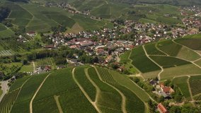 Aerial view of vineyars around Durbach in Germany on a sunny day in Germany close to the black forest. Pan to the right beside the village.