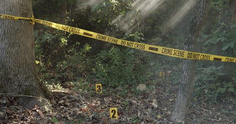 Police crime scene do not cross tape in the woods at the scene o the crime. 