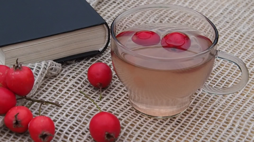 A cup of healthy drink with hawthorn berries, fruit and a book on the table in the garden in autumn. Romantic picture close-up.