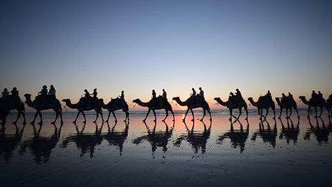Silhouette of camel ride convoy with tourists riding on camels on Cable Beach during dramatic sunset in Broome Western Australia. Unrecognizable people. Copy space