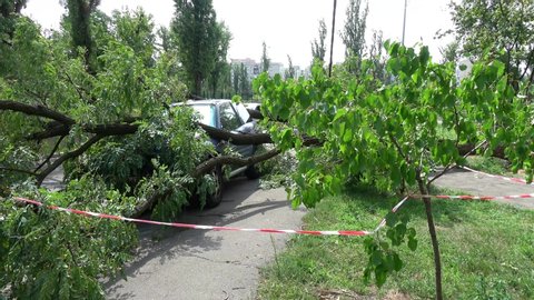 Kiev, Ukraine - 8th of August 2019: 4K Viewing a jeep damaged under a fallen tree on the street
