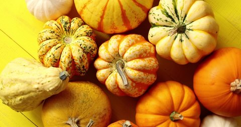 From above view of orange fresh pumpkins laid on yellow wooden background