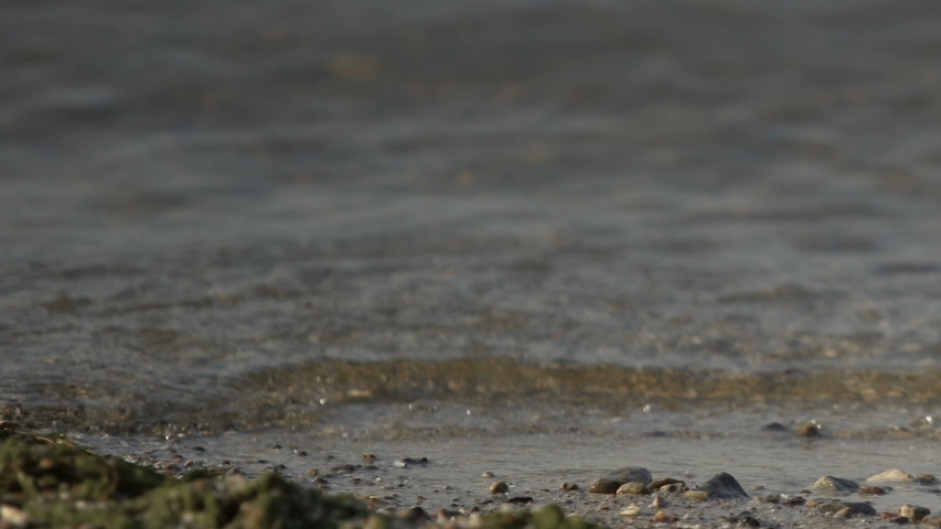 Help message in bottle on inhabitant island beach, person in wildlife conditions