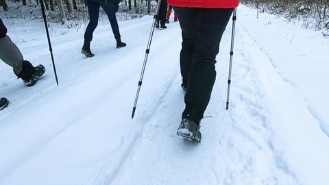 Valmiera/Latvia- 01.13.2019:Winter hike with a large group of meadows and forests