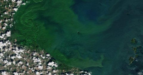 Very high-altitude overflight aerial of severe bloom of blue-green algae, western half of Lake Erie. Clip loops and is reversible. Elements of this image furnished by NASA