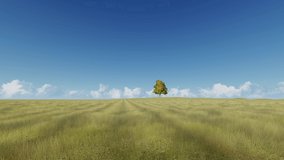 Lonely tree in field zoom in 3d realistic footage. Plant with falling leaves fast moving animation. Autumn season concept. Fall nature at daytime landscape. Meadow and blue clear sky video
