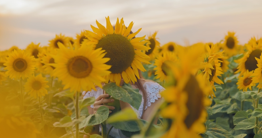 Beautiful girl flirts and plays with a sunflower. Walk on the field. Portrait view.