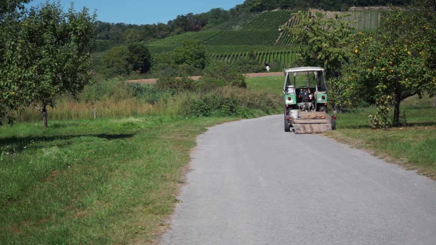 Tractor on a dirt road next to an orchard