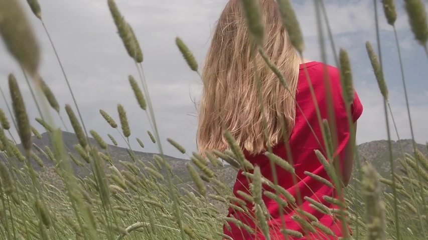 A young woman in red t-shirt walking happily through a green field and touching barley ears. Enjoy agriculture harvest.