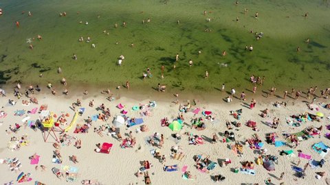 Top view of tropical sandy crowded beach with sun loungers and parasols. Beach of the city of Gdynia in Poland. Drone Shot 4K.