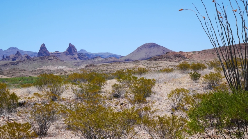Landscape view of Big Bend National Park during the day in Texas.