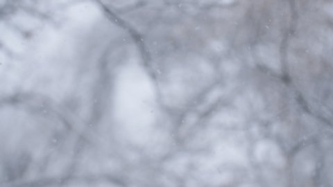 Winter snowfall. Snow Slow motion outdoors on natural background. Snowy weather during snowing winter day. Blurred abstract background.