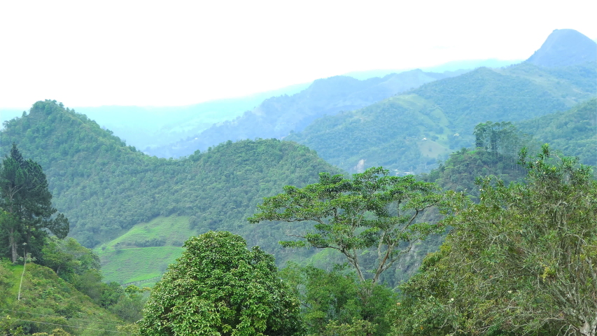 Mountainside full of trees image - Free stock photo - Public Domain ...