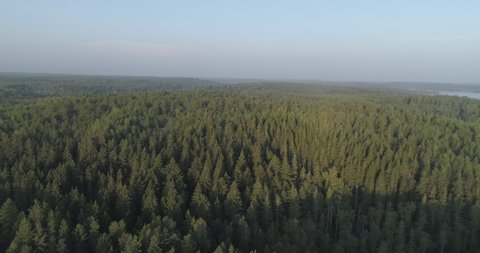 Aerial drone shot of flying above a forest in Finland.