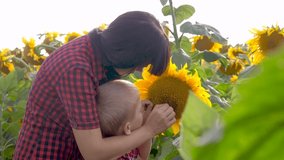 happy lifestyle family agriculture concept Mother's day slow motion video . mom and son farmers a study sunflowers in field funny funny video.happy family mother girl and son boy work in the field
