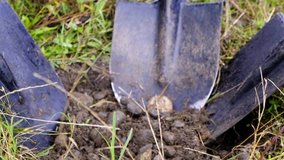 Cadet soldiers digging a hole with stones for an anti-tank mine - Powered by Shutterstock - Get 15% off with code: PIKWIZARD15