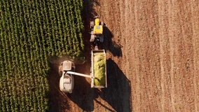 4K Tracking Aerial Shot of Chopping - Harvesting Corn Silage