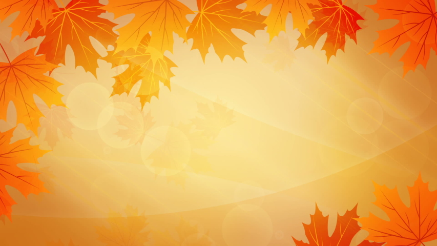 shutterstock background shutterstock background