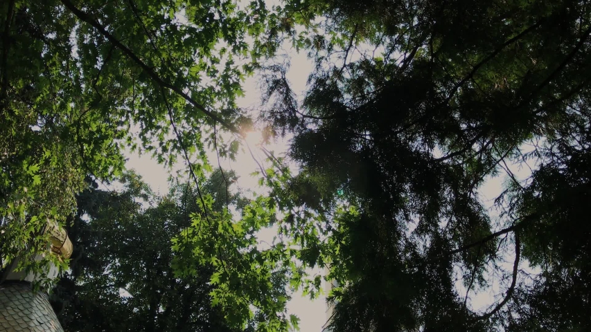 Beautiful large church among the trees on a sunny day.