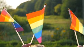 Symbol of LGBT Gay lesbian transgender queer rights, activism love equality and freedom rainbow flags on a background of green grass and forest on summer sunny day. - Powered by Shutterstock - Get 15% off with code: PIKWIZARD15