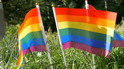 Symbol of LGBT Gay lesbian transgender queer rights, activism love equality and freedom rainbow flags on the grass lawn swaying in the wind on a warm summer day