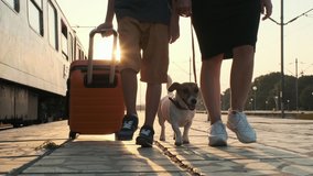 Boy an orange suitcase and woman, dog Jack Russell walk along platform of train station, to train in rays of bright sunset summer slow motion. Mother, son, family goes on trip. Travel. Tourism - Powered by Shutterstock - Get 15% off with code: PIKWIZARD15