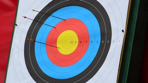 Targets for archery.  Archers 'arrows hit the target.