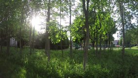  POV Walking through nature - steady cam shot. (Full HD Video)
