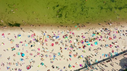Aerial view of a sandy beach filled with people. Crowds of people swim and sunbathe on the Baltic Sea on a hot sunny day. Beach in Gdynia, Poland. Drone Shot 4K.
