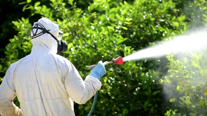 Weed control spray fumigation. Industrial chemical agriculture. Man spraying toxic pesticides, pesticide, insecticides on fruit lemon growing plantation, Spain, 2019. Man in mask fumigating. Royalty-Free Stock Footage #1037663069